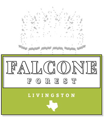 Falcone Forest Logo